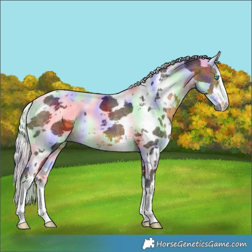 Horse Color:Nacre White Spotted Buckskin Harlequin Merle