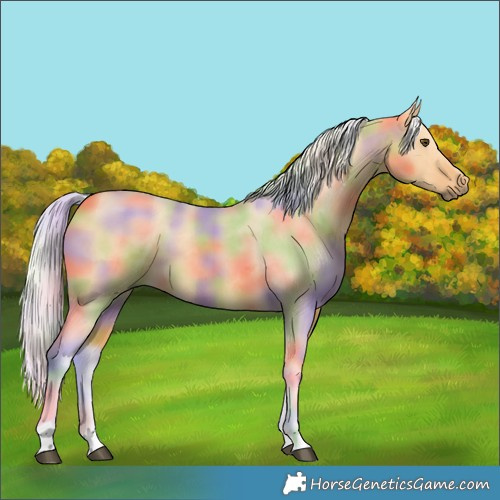 Horse Color:Nacre Silver Buckskin Dun 