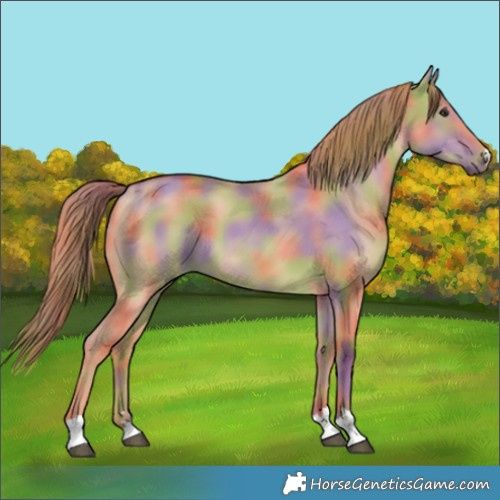 Horse Color:Nacre Red Dun