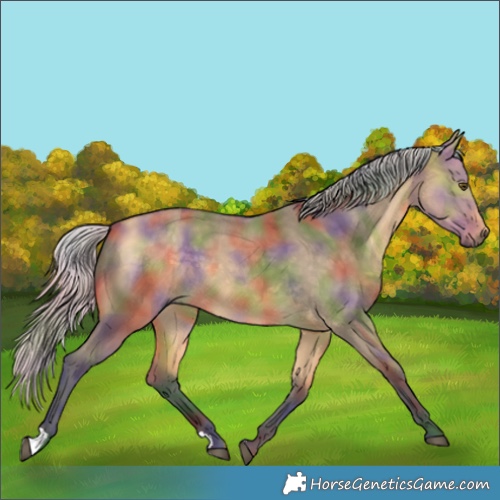 Horse Color:Nacre Silver Buckskin Dun 