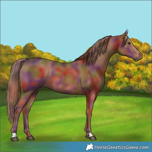 Horse Color:Nacre Chestnut 