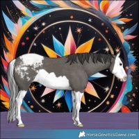 Horse Color:Grullo Splash Varnish