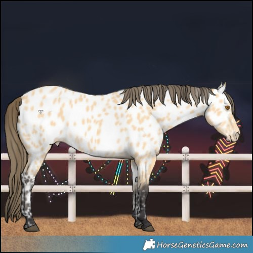 Horse Color:Buckskin Leopard  and Buckskin Near Leopard 