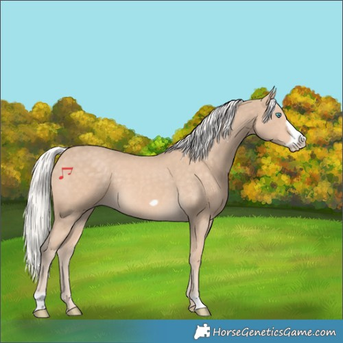 Horse Color:Silver Perlino Frame 