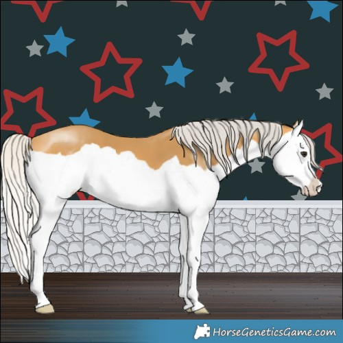 Horse Color:Silver Buckskin Splash 
