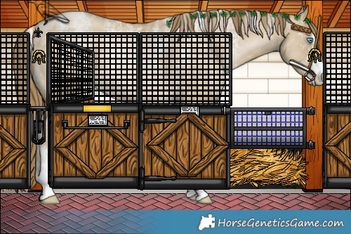 Horse Color:Powder White Buckskin Pearl Dun 