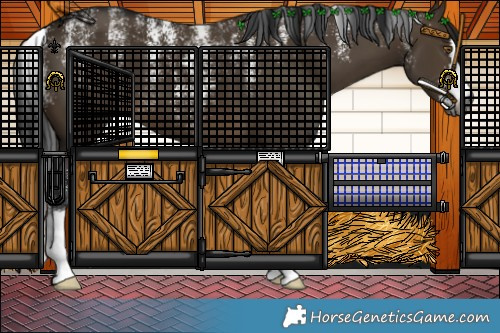 Horse Color:Powder White Gray Brown Dun 