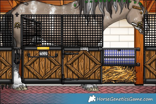 Horse Color:Powder White Brown Dun 