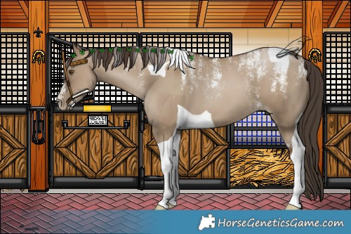 Horse Color:Powder White Gray Grullo Pearl Tobiano 