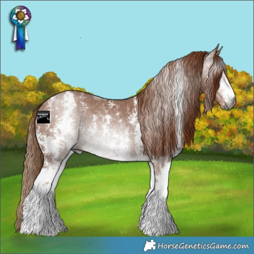 Horse Color:Gray Chestnut Sabino Varnish
