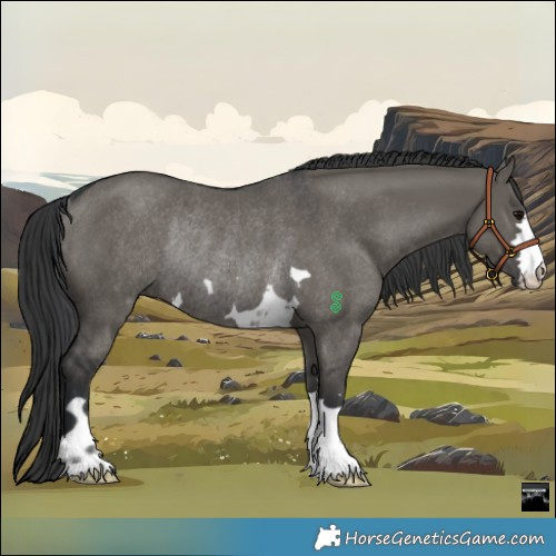 Horse Color:Grullo Rabicano