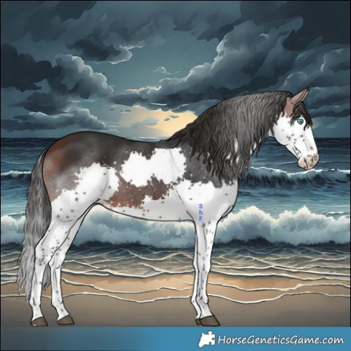 Horse Color:Brown Splash 