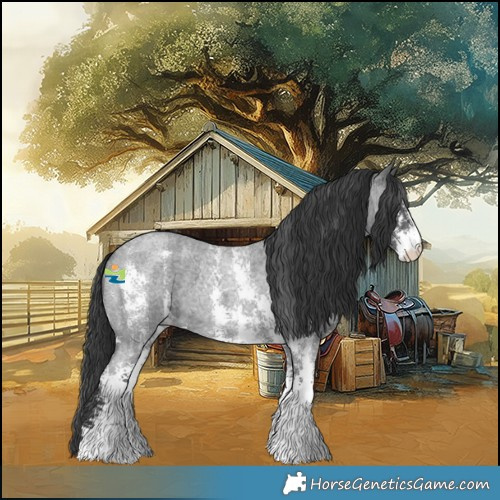 Horse Color:Blue Roan Sabino