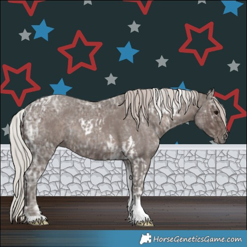 Horse Color:Silver Blue Roan Tobiano and Silver Black Ice Tobiano
