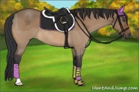 Horse Color:Bay Roan Dun Rabicano 
