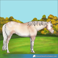 Horse Color:Silver Classic Champagne Ice Onyx Sabino