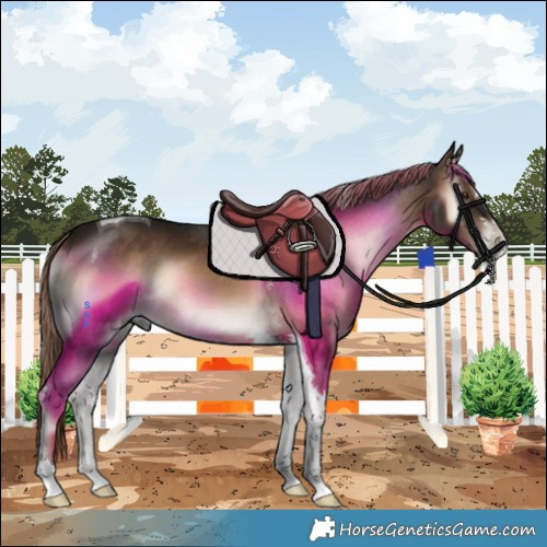 Horse Color:Liver Red Onyx Tobiano 