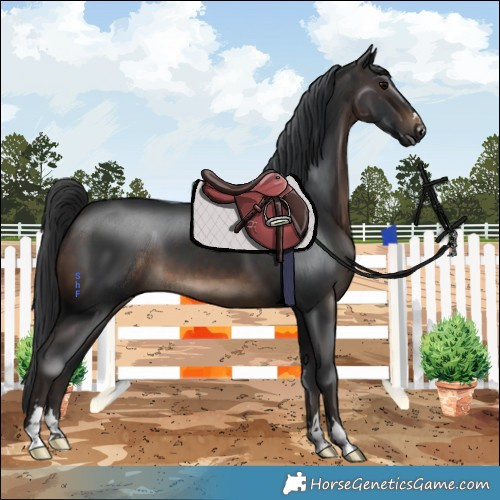 Horse Color:Brown 