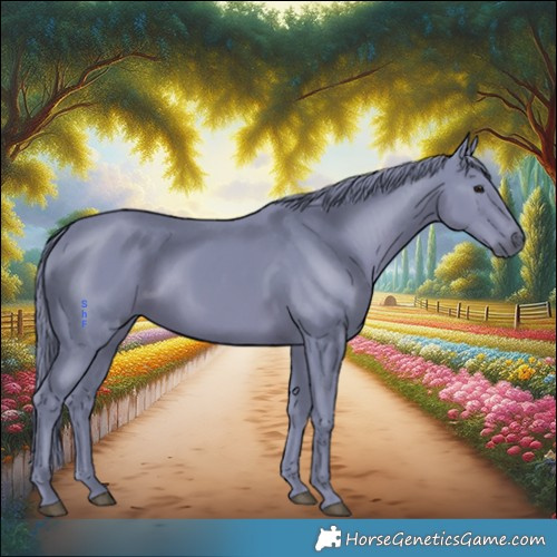 Horse Color:Watercolor Smoky Black 