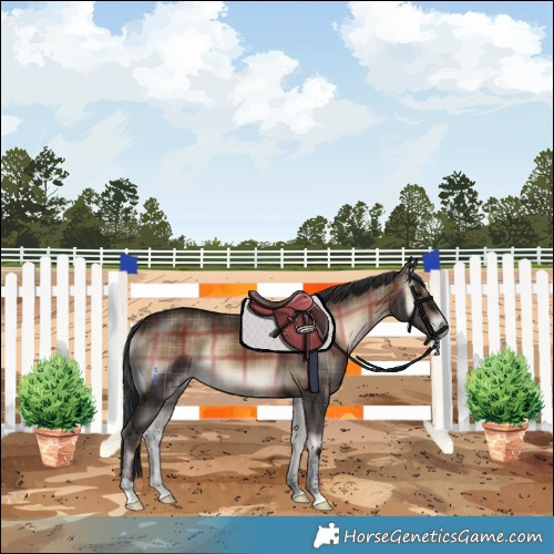 Horse Color:Plaid  Brown Onyx Tobiano 