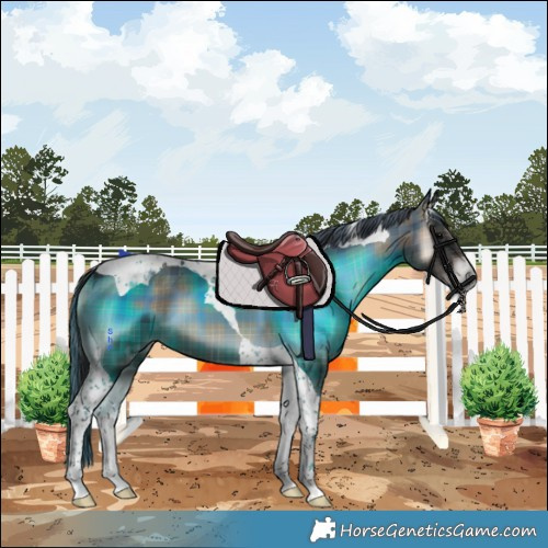 Horse Color:Plaid  Blue Onyx Tobiano 