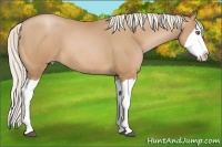 Horse Color:Silver Bay Pearl Splash