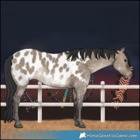 Horse Color:Brown Dun Blanket 