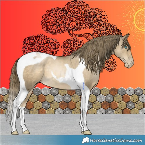 Horse Color:Black Snowdrop Pearl Tobiano