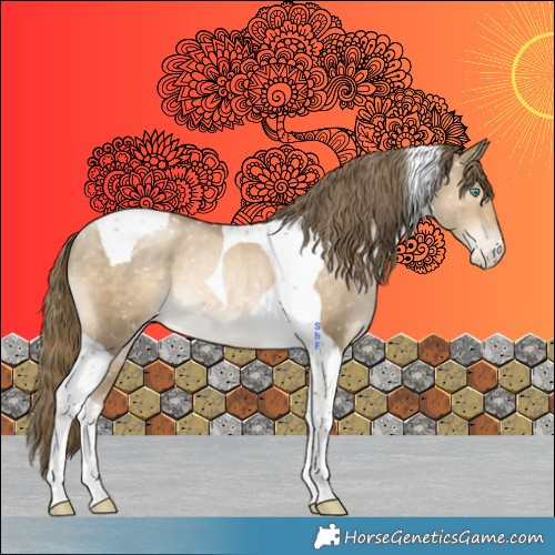 Horse Color:Black Snowdrop Pearl Tobiano Appaloosa Rabicano