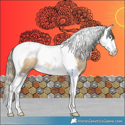 Horse Color:Buckskin Snowdrop Splash Tobiano Appaloosa 