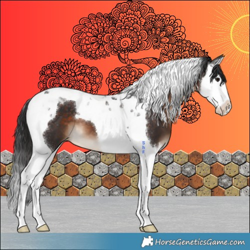 Horse Color:Brown Splash Tobiano Appaloosa 