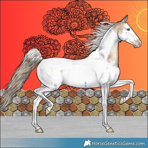 Horse Color:Black Snowdrop Splash Tobiano Appaloosa 