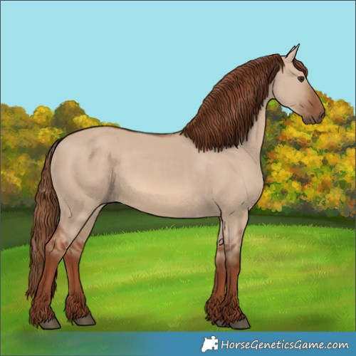 Horse Color:Unknown 