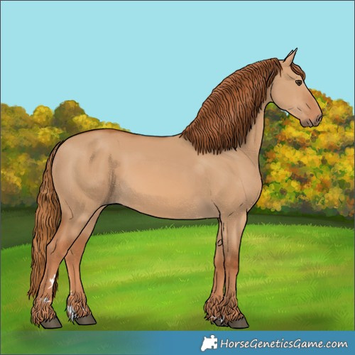 Horse Color:Unknown 