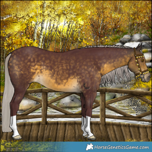 Horse Color:Chocolate Silver Buckskin 