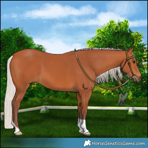 Horse Color:Chocolate Silver Bay