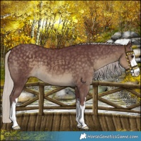 Horse Color:White Spotted Chocolate Silver Smoky Black