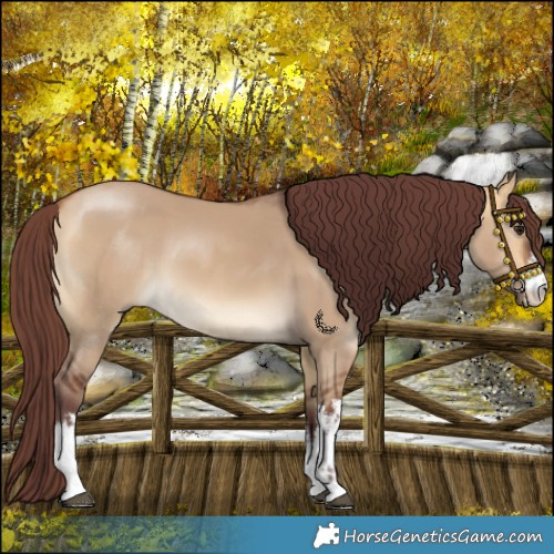 Horse Color:White Spotted Chocolate Buckskin Dun 