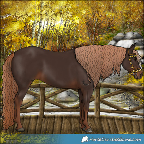 Horse Color:White Spotted Liver Chestnut