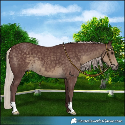 Horse Color:Chocolate Silver Smoky Black 