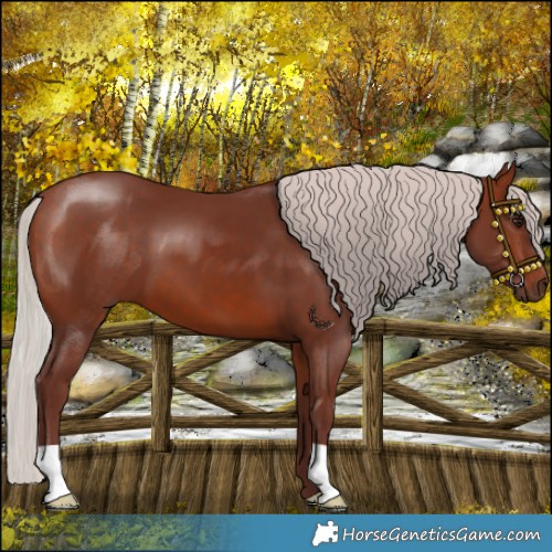 Horse Color:Chocolate Silver Bay 