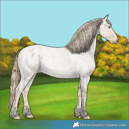 Horse Color:Smoky Creme Roan 