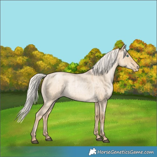 Horse Color:Silver Smoky Grullo Roan Pearl Brindle 