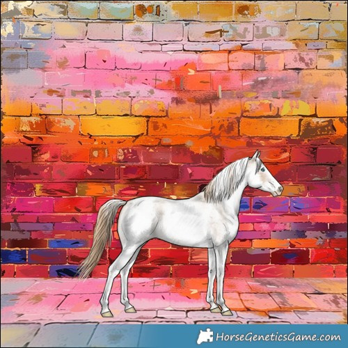 Horse Color:White Spotted Smoky Creme Roan Skewed Appaloosa 