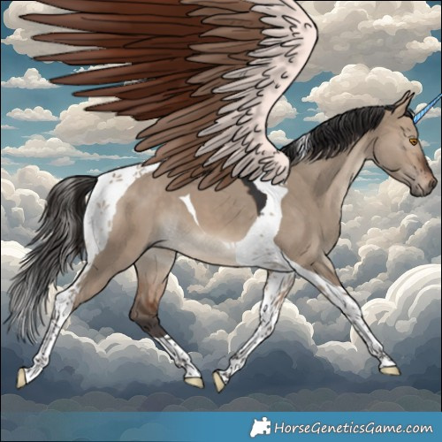 Horse Color:Brown Dun Tobiano 