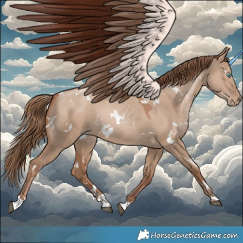 Horse Color:White Spotted Grullo Pearl 