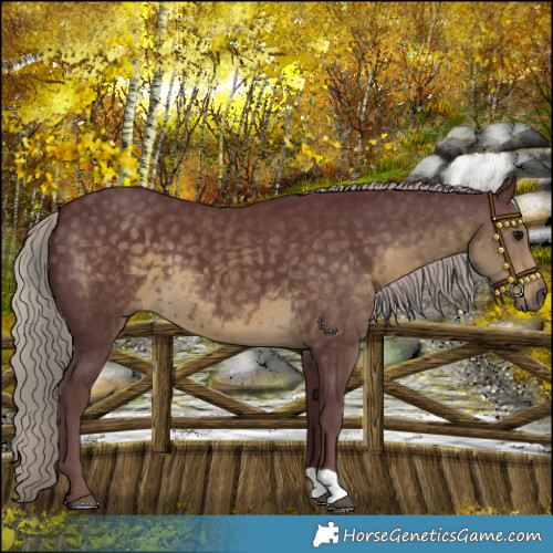 Horse Color:Chocolate Silver Smoky Black