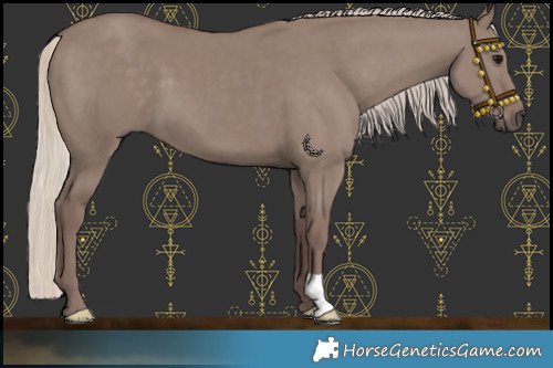 Horse Color:Chocolate Silver Smoky Grullo