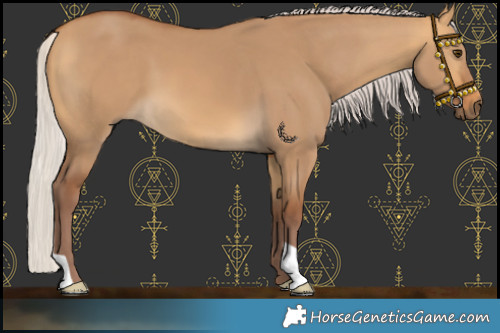 Horse Color:Chocolate Silver Buckskin Dun 