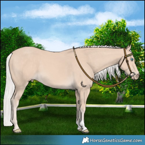 Horse Color:Chocolate Silver Perlino 